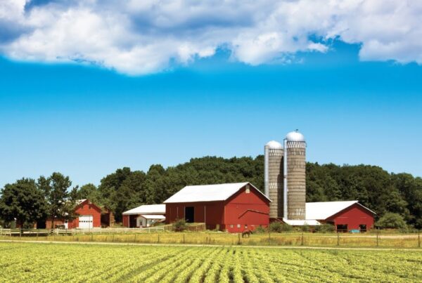 Network in Rural Areas